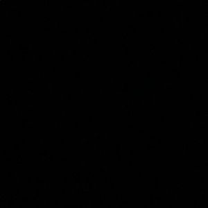 Meet your Posher, Jane